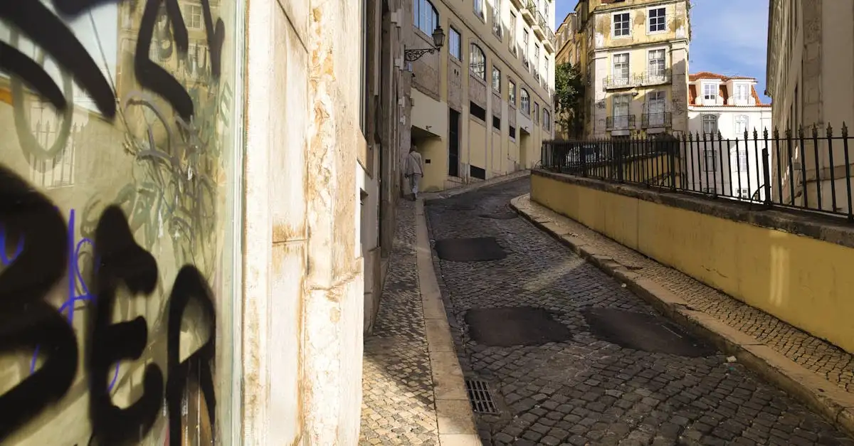 Afkicken verslaving portugal