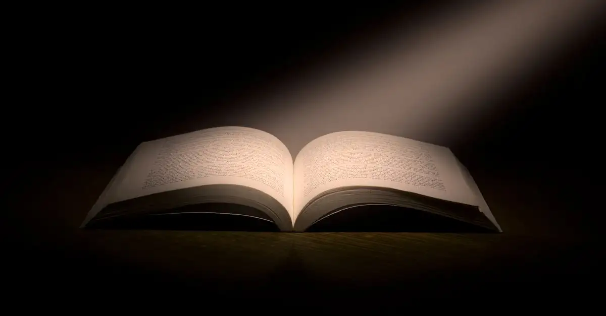 Boek inzicht verslaving
