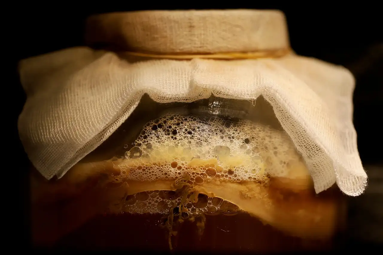 Is kombucha alcoholvrij of zit er toch alcohol in?